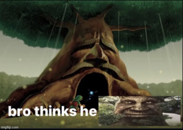 wise ancient tree | image tagged in zelda,gaming,deku,ancient,tree | made w/ Imgflip meme maker