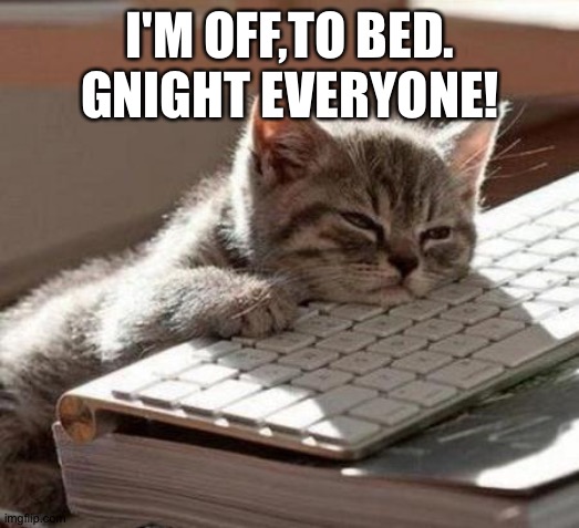 tired cat | I'M OFF,TO BED. GNIGHT EVERYONE! | image tagged in tired cat | made w/ Imgflip meme maker