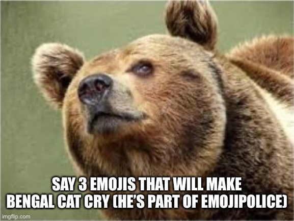 Let’s go | SAY 3 EMOJIS THAT WILL MAKE BENGAL CAT CRY (HE’S PART OF EMOJIPOLICE) | image tagged in memes,smug bear | made w/ Imgflip meme maker