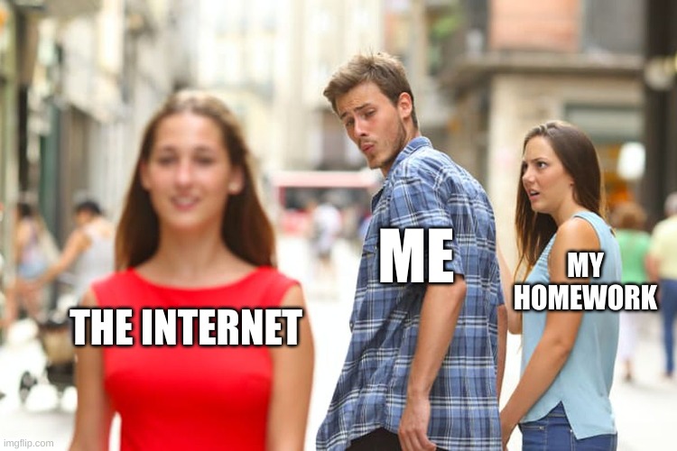 Distracted Boyfriend | ME; MY HOMEWORK; THE INTERNET | image tagged in memes,distracted boyfriend | made w/ Imgflip meme maker