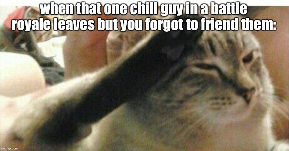 Cat of Honor | when that one chill guy in a battle royale leaves but you forgot to friend them: | image tagged in cat of honor | made w/ Imgflip meme maker