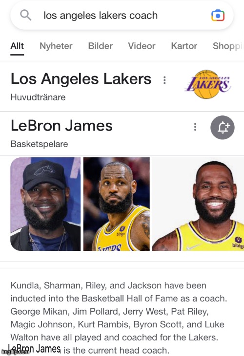 You are the coach of this team now act like it! | image tagged in lebron james,coach,nba,nba memes,lakers,photoshop | made w/ Imgflip meme maker