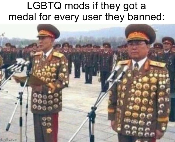 balls moment | LGBTQ mods if they got a medal for every user they banned: | made w/ Imgflip meme maker