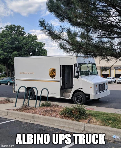 ALBINO UPS TRUCK | image tagged in durl earl | made w/ Imgflip meme maker
