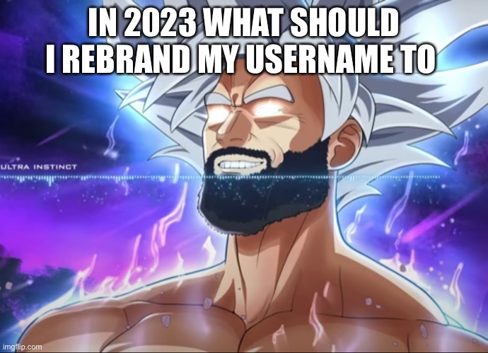 Tera Chad | IN 2023 WHAT SHOULD I REBRAND MY USERNAME TO | image tagged in tera chad | made w/ Imgflip meme maker