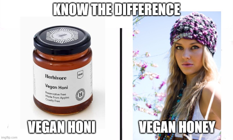 Know the Difference Psychic and Side Kick | KNOW THE DIFFERENCE; VEGAN HONI                 VEGAN HONEY | image tagged in know the difference,vegan,honi,honey | made w/ Imgflip meme maker