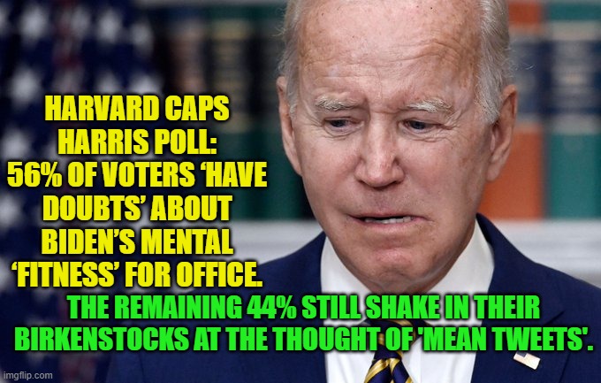 Juuuuuuuust . . . keepin' it real. | HARVARD CAPS HARRIS POLL: 56% OF VOTERS ‘HAVE DOUBTS’ ABOUT BIDEN’S MENTAL ‘FITNESS’ FOR OFFICE. THE REMAINING 44% STILL SHAKE IN THEIR BIRKENSTOCKS AT THE THOUGHT OF 'MEAN TWEETS'. | image tagged in truth | made w/ Imgflip meme maker