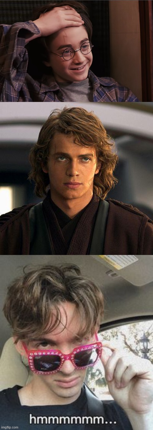 Two Iconic Characters with Something In Common | image tagged in harry potter scar,flamingo hmmm,anakin,memes | made w/ Imgflip meme maker