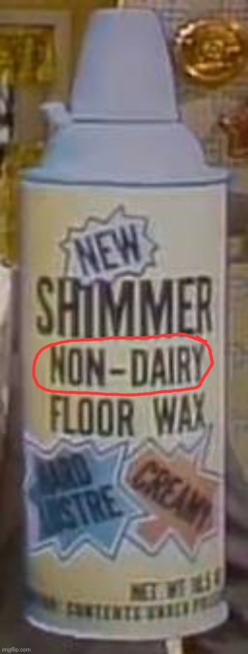 this is you had one job | image tagged in shimmer non-dairy floor wax | made w/ Imgflip meme maker