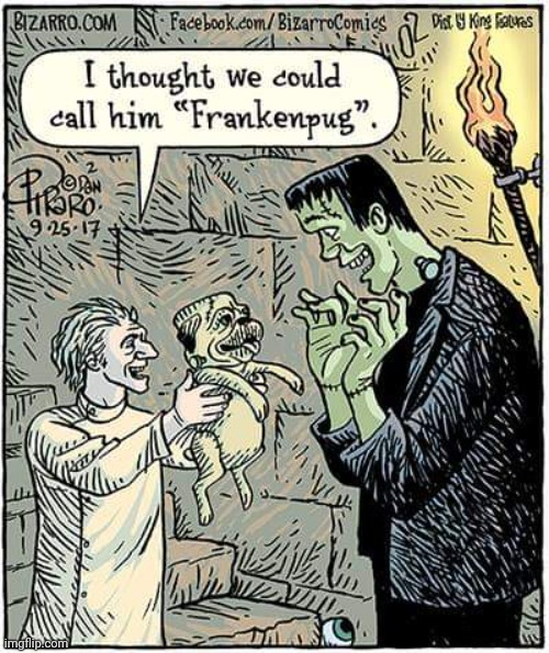 HE GETS A PUPPY | image tagged in frankenstein,comics/cartoons,spooktober | made w/ Imgflip meme maker