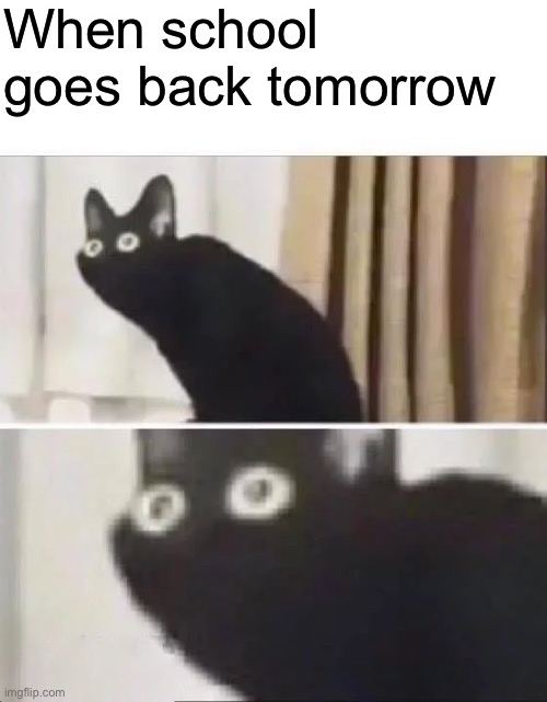 Jhbhkbuhuhuh no :cry: | When school goes back tomorrow | image tagged in oh no black cat | made w/ Imgflip meme maker