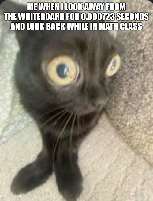 ME WHEN I LOOK AWAY FROM THE WHITEBOARD FOR 0.000723 SECONDS AND LOOK BACK WHILE IN MATH CLASS | image tagged in cats | made w/ Imgflip meme maker