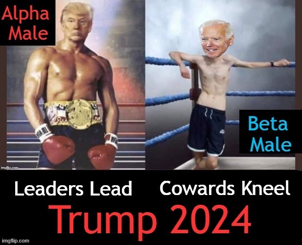 Challenge of The Minds & The Masculinity! Let Men Be Men & Women Be Women Again! | image tagged in politics,donald trump,joe biden,alpha,beta,minds and masculinity challenge | made w/ Imgflip meme maker