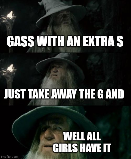 Confused gandalf | GASS WITH AN EXTRA S; JUST TAKE AWAY THE G AND; WELL ALL GIRLS HAVE IT | image tagged in memes,confused gandalf,funny memes | made w/ Imgflip meme maker