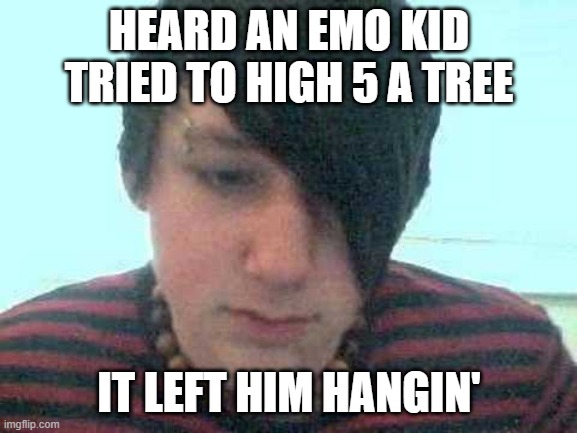 No Love | HEARD AN EMO KID TRIED TO HIGH 5 A TREE; IT LEFT HIM HANGIN' | image tagged in emo kid | made w/ Imgflip meme maker