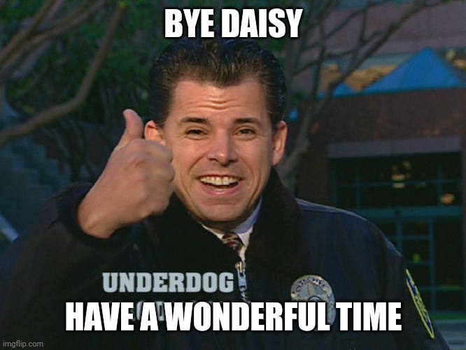 Bye bye, have a beautiful time | BYE DAISY HAVE A WONDERFUL TIME | image tagged in bye bye have a beautiful time | made w/ Imgflip meme maker