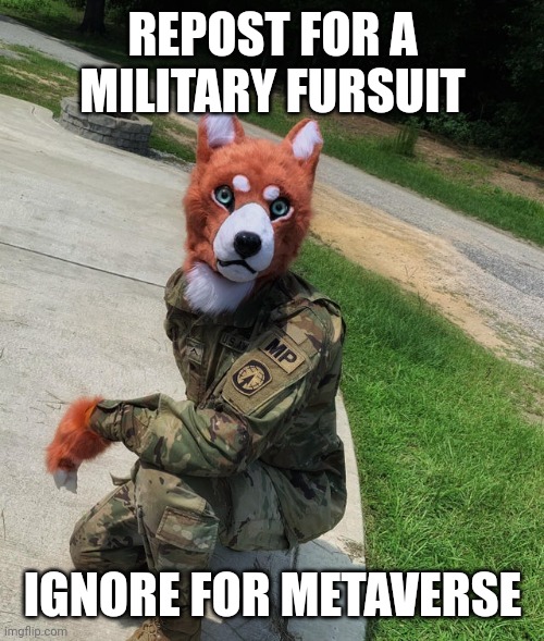 REPOST FOR A MILITARY FURSUIT; IGNORE FOR METAVERSE | made w/ Imgflip meme maker