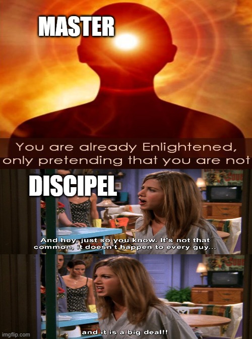 Memes | MASTER; DISCIPEL | image tagged in hamster weekend | made w/ Imgflip meme maker