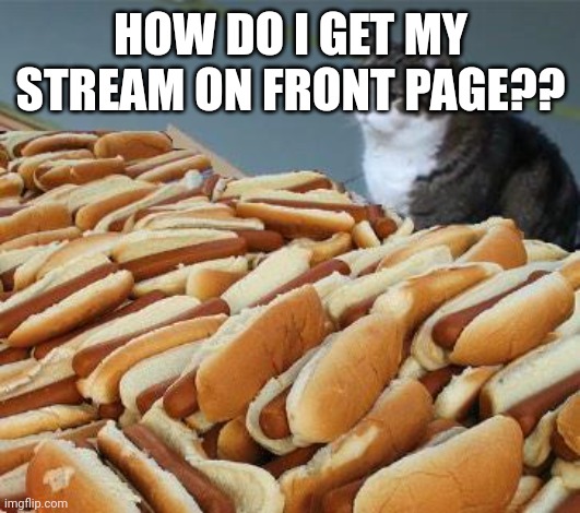 Too many hot dogs | HOW DO I GET MY STREAM ON FRONT PAGE?? | image tagged in too many hot dogs | made w/ Imgflip meme maker