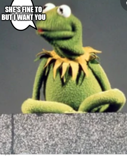 Kermit acting like Lloyd | SHE'S FINE TO BUT I WANT YOU | image tagged in funny memes | made w/ Imgflip meme maker