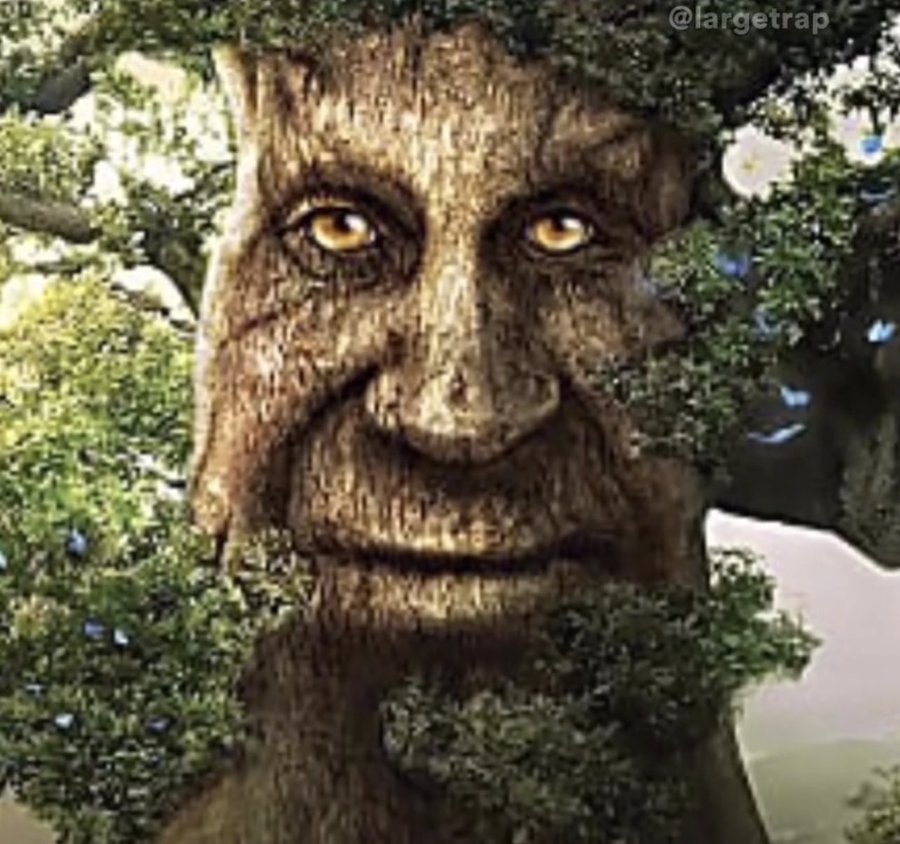 Wise Mystical Tree Blank Template Imgflip