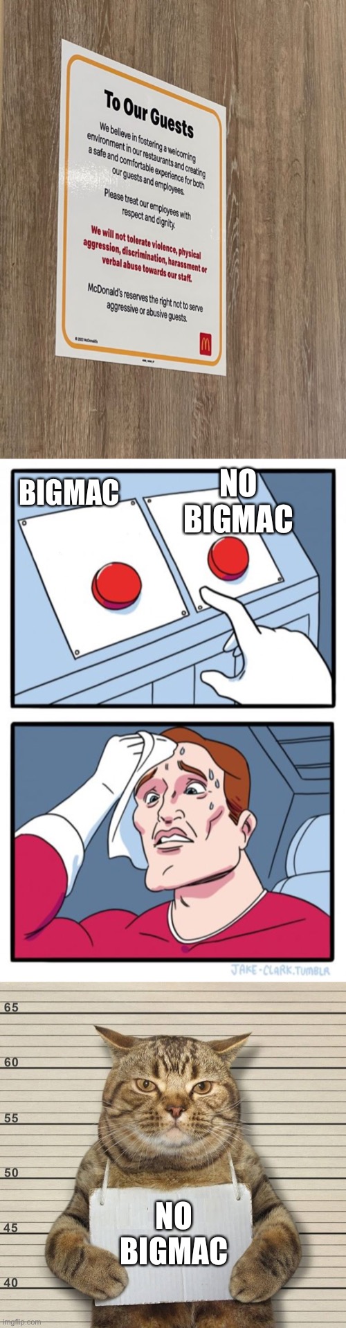 No BigMac |  NO BIGMAC; BIGMAC; NO BIGMAC | image tagged in memes,two buttons,guilty cat mug shot blank | made w/ Imgflip meme maker
