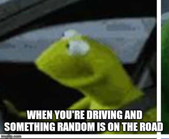 It happens to all of us | WHEN YOU'RE DRIVING AND SOMETHING RANDOM IS ON THE ROAD | image tagged in funny memes | made w/ Imgflip meme maker