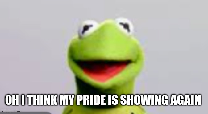 Cause I love my country despite there's nothing america related here | OH I THINK MY PRIDE IS SHOWING AGAIN | image tagged in funny memes | made w/ Imgflip meme maker