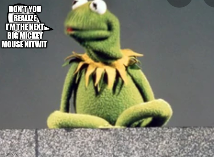 Kermit will be at least for meme sake | DON'T YOU REALIZE I'M THE NEXT BIG MICKEY MOUSE NITWIT | image tagged in funny memes | made w/ Imgflip meme maker