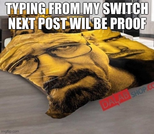 Breaking Bed | TYPING FROM MY SWITCH NEXT POST WIL BE PROOF | image tagged in breaking bed | made w/ Imgflip meme maker