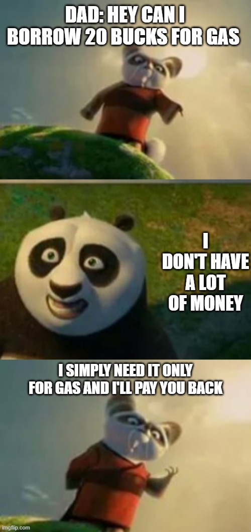 The meme says it all | DAD: HEY CAN I BORROW 20 BUCKS FOR GAS; I DON'T HAVE A LOT OF MONEY; I SIMPLY NEED IT ONLY FOR GAS AND I'LL PAY YOU BACK | image tagged in kung fu panda,memes,master shifu,relatable | made w/ Imgflip meme maker