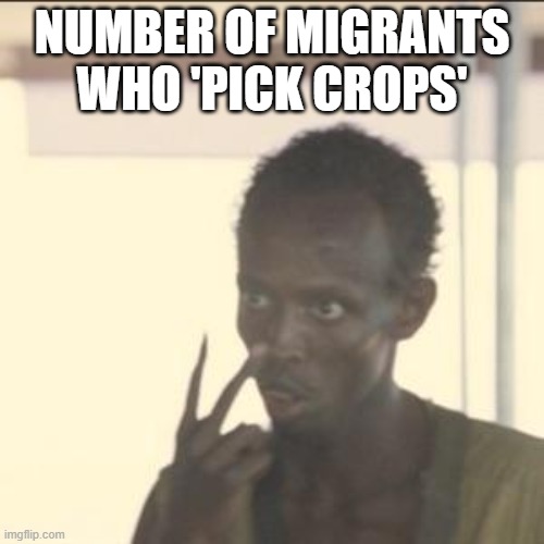c'mon nancy | NUMBER OF MIGRANTS WHO 'PICK CROPS' | image tagged in memes,look at me | made w/ Imgflip meme maker
