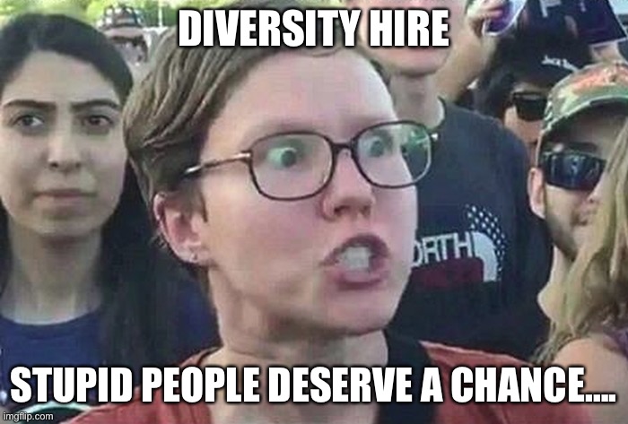 Triggered Liberal | DIVERSITY HIRE STUPID PEOPLE DESERVE A CHANCE…. | image tagged in triggered liberal | made w/ Imgflip meme maker