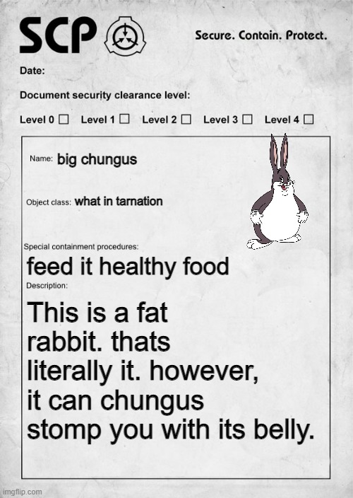 scp-001-why | big chungus; what in tarnation; feed it healthy food; This is a fat rabbit. thats literally it. however, it can chungus stomp you with its belly. | image tagged in scp document | made w/ Imgflip meme maker