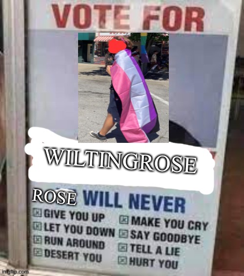 VOTE WILTINGROSE FOR LGBTQ STREAM PRZ | WILTINGROSE; ROSE | image tagged in vote,for,rose | made w/ Imgflip meme maker