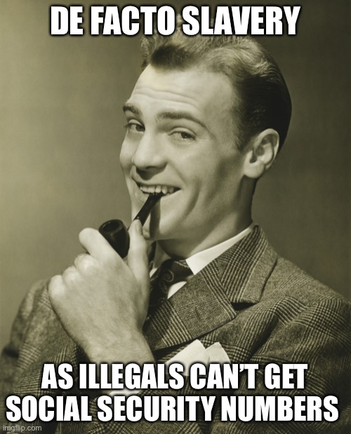 Smug | DE FACTO SLAVERY AS ILLEGALS CAN’T GET SOCIAL SECURITY NUMBERS | image tagged in smug | made w/ Imgflip meme maker