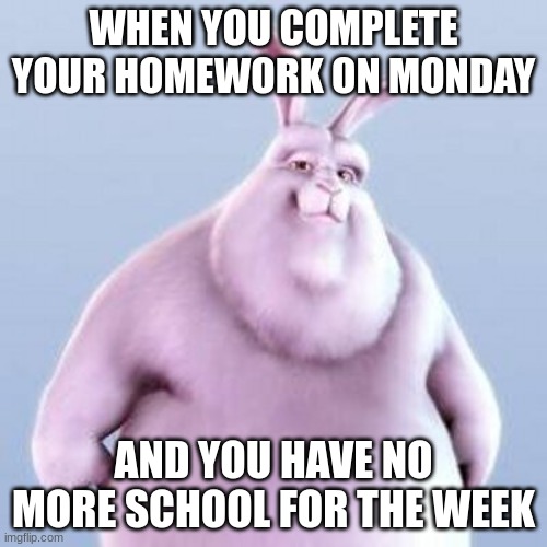 Homework: Impossible | WHEN YOU COMPLETE YOUR HOMEWORK ON MONDAY; AND YOU HAVE NO MORE SCHOOL FOR THE WEEK | image tagged in realistic chungus | made w/ Imgflip meme maker