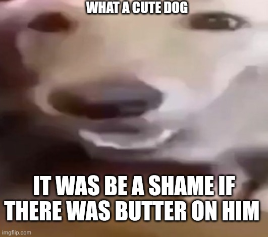 WHAT A CUTE DOG; IT WAS BE A SHAME IF THERE WAS BUTTER ON HIM | made w/ Imgflip meme maker