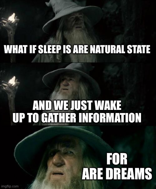 Confused Gandalf Meme | WHAT IF SLEEP IS ARE NATURAL STATE; AND WE JUST WAKE UP TO GATHER INFORMATION; FOR ARE DREAMS | image tagged in memes,confused gandalf | made w/ Imgflip meme maker