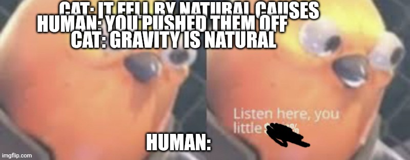 Now listen here you little $@#% | CAT: IT FELL BY NATURAL CAUSES HUMAN: YOU PUSHED THEM OFF CAT: GRAVITY IS NATURAL HUMAN: | image tagged in now listen here you little | made w/ Imgflip meme maker