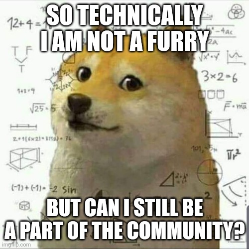 Daily debate for the furry community | SO TECHNICALLY I AM NOT A FURRY; BUT CAN I STILL BE A PART OF THE COMMUNITY? | image tagged in confused doge | made w/ Imgflip meme maker