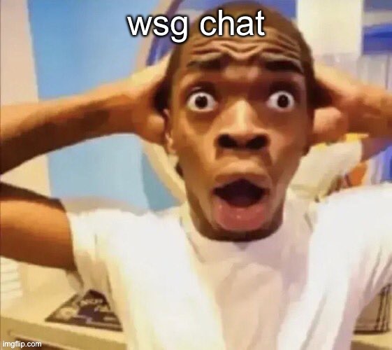 in shock | wsg chat | image tagged in in shock | made w/ Imgflip meme maker