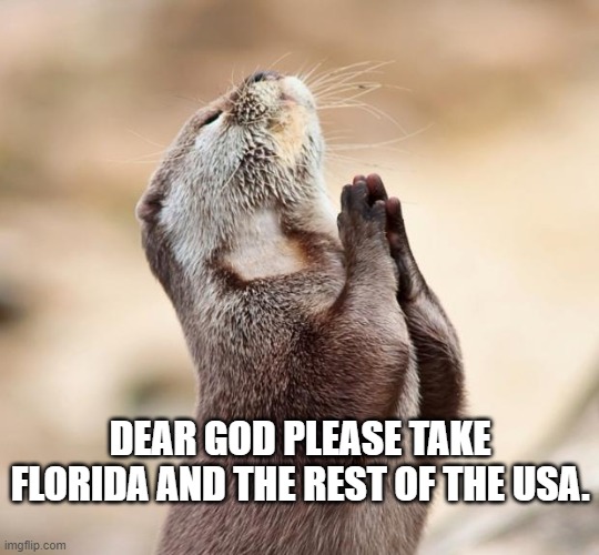 animal praying | DEAR GOD PLEASE TAKE FLORIDA AND THE REST OF THE USA. | image tagged in animal praying | made w/ Imgflip meme maker