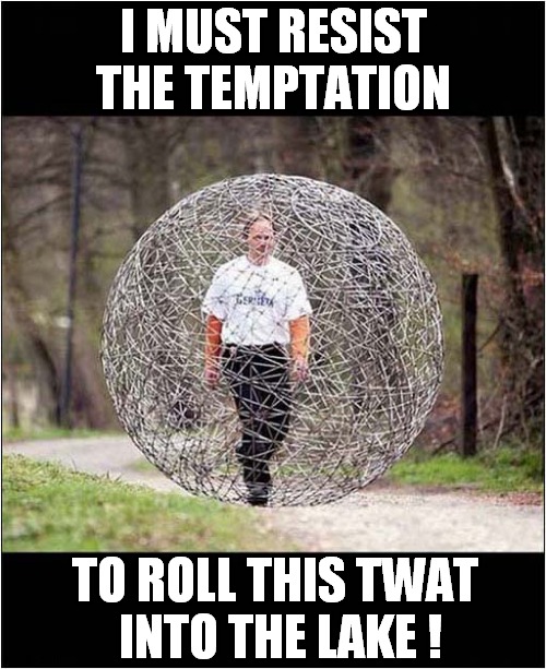 The Urge Is So Strong ! | I MUST RESIST THE TEMPTATION; TO ROLL THIS TWAT
 INTO THE LAKE ! | image tagged in ball,cage,temptation,rolling,lake,dark humour | made w/ Imgflip meme maker