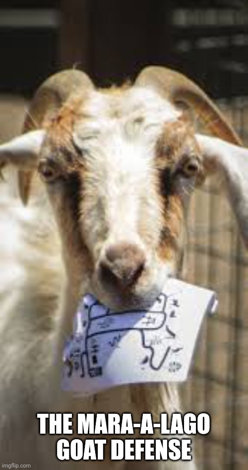 Goat Defense | THE MARA-A-LAGO GOAT DEFENSE | image tagged in donald trump | made w/ Imgflip meme maker