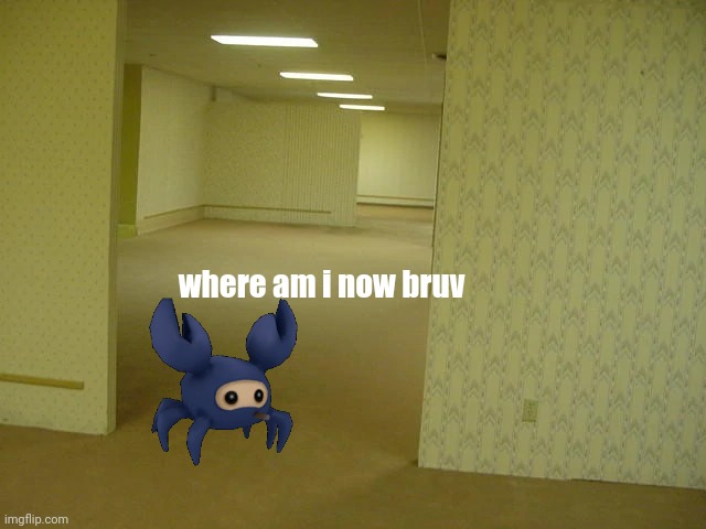 Back rooms | where am i now bruv | image tagged in back rooms | made w/ Imgflip meme maker