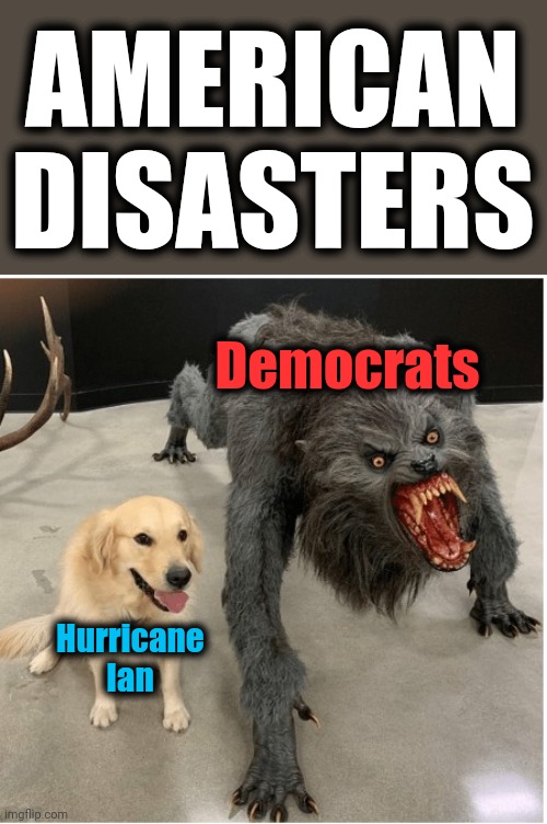 American disasters | AMERICAN
DISASTERS; Democrats; Hurricane
Ian | image tagged in dog wolf,hurricane ian,democrats,election 2022,joe biden | made w/ Imgflip meme maker