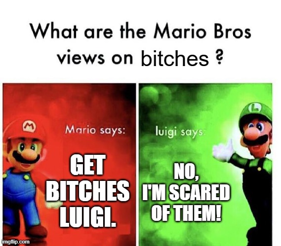 Mario Bros Views | GET BITCHES LUIGI. NO, I'M SCARED OF THEM! bitches | image tagged in mario bros views | made w/ Imgflip meme maker