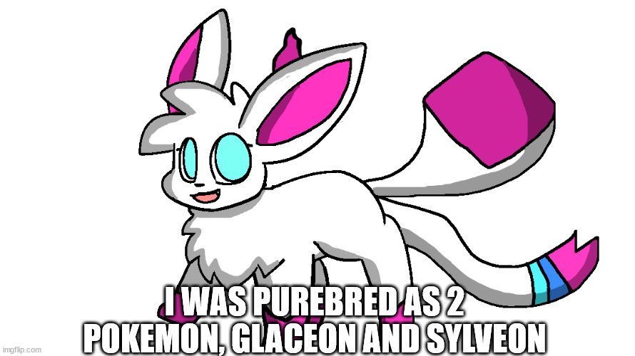 i am now this | I WAS PUREBRED AS 2 POKEMON, GLACEON AND SYLVEON | image tagged in sylceon again | made w/ Imgflip meme maker