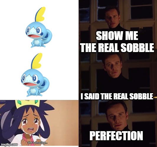 perfection | SHOW ME THE REAL SOBBLE; I SAID THE REAL SOBBLE; PERFECTION | image tagged in perfection | made w/ Imgflip meme maker